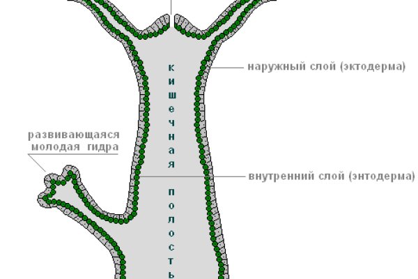 Сайт кракен kraken krakens15 at