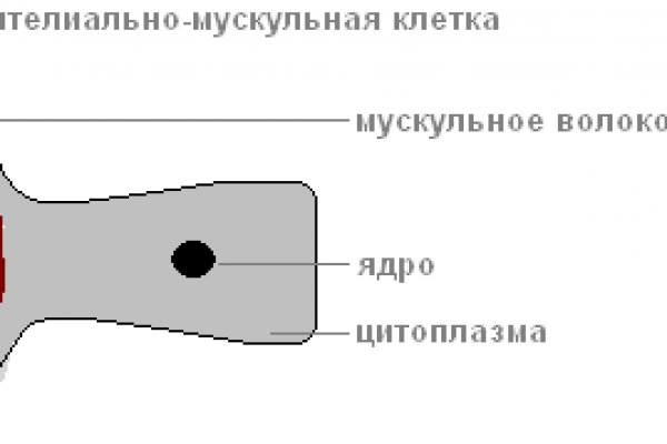 Кракен сайт 16